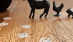 5871_23_Bodahl_046 Kopie-1